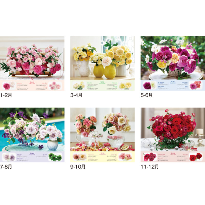 ROSE COLLECTION　-ﾛｰｽﾞｺﾚｸｼｮﾝ-（3）