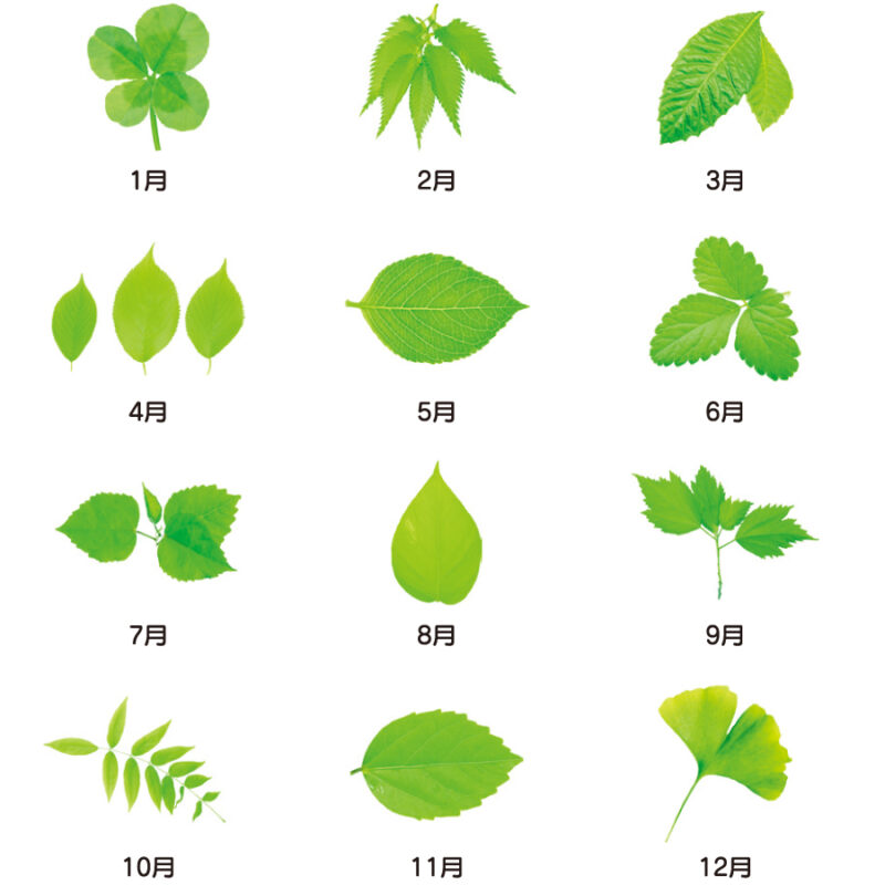 エコグリーンカレンダー(2ヶ月)（3）