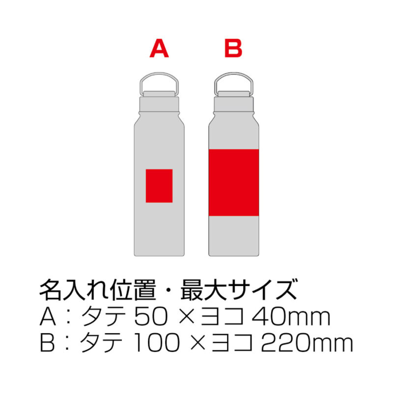 トゥーリフラスク・ハンドル付き真空ステンレスボトル１L (シルバー)（6）