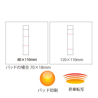 スリムステンレスボトル ホワイト（5）